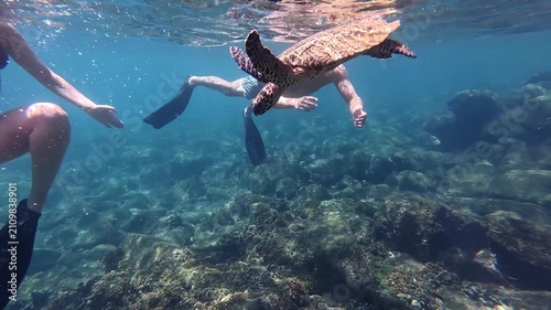 Couple snorkeling next to a sea turtle in clear tropical ocean waters in Panama