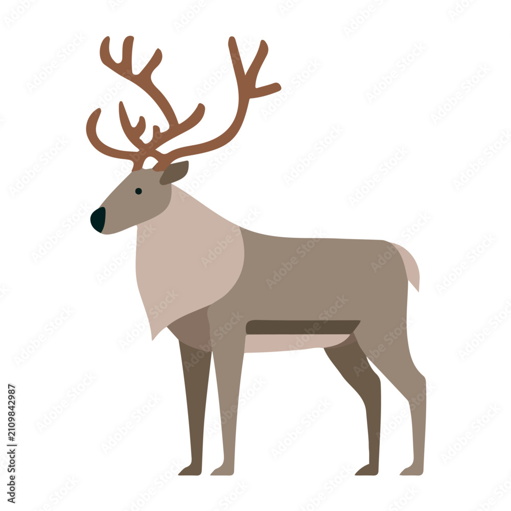Fototapeta premium Reindeer, simple flat 2D artwork with minimal details, isolated on a white background.
