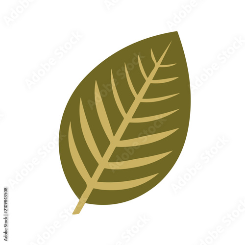Coffee Leaf, clean flat 2D illustration with a minimal style, isolated on a white background.