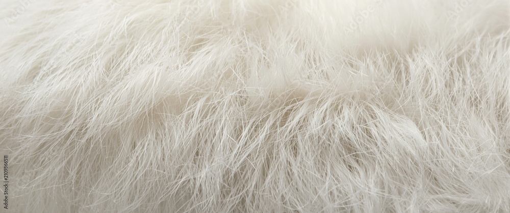 Fototapeta premium Detailed view of fluffy white animal fur texture for design backgrounds