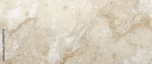 Elegant Beige Marble Textur...