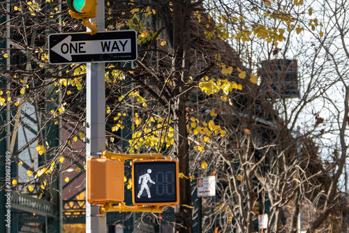 Photography One way street sign and traffic light in New York City