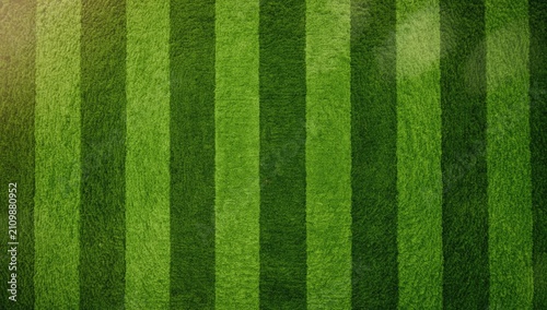 Lush Green Grass Texture wi...