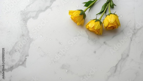 Yellow Roses with Water Dro...
