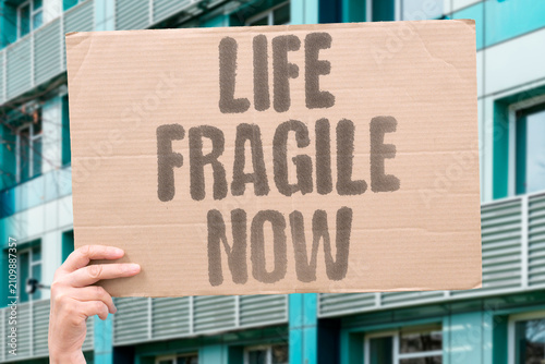 Fotografía "Life Fragile Now" Without recovery, existence becomes brittle
