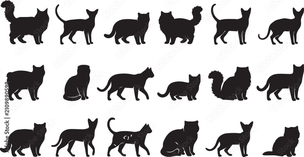 Fototapeta premium Premium Cat Silhouette Vector Bundle Featuring Domestic Feline Poses Standing Sitting Walking and Fluffy Pet Animal Collection Design Set