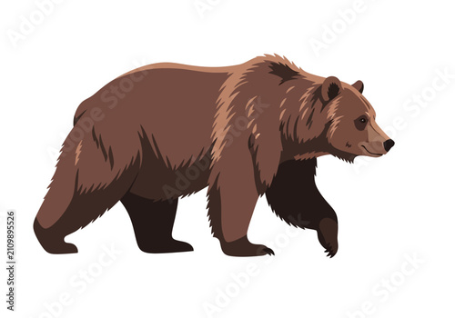 Fotografie Brown bear walking on ground.