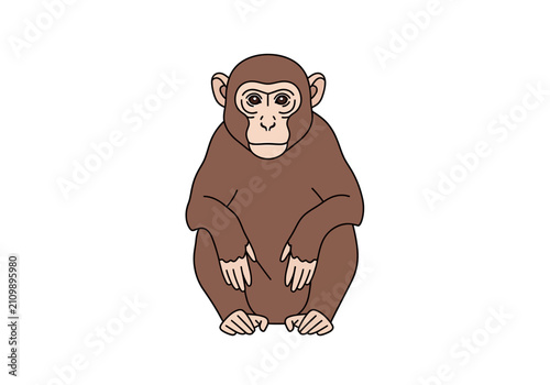 Photography Brown monkey sitting on ground.