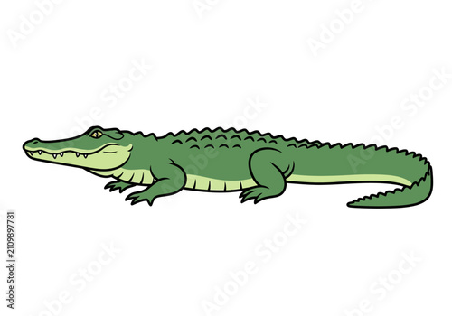 Cuadro en lienzo Green cartoon crocodile side view.