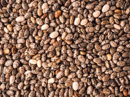 Full-frame close-up of chia seeds, super foods, macro shot of food supplements or ingredients, healthy eating concept, food texture using as header or background