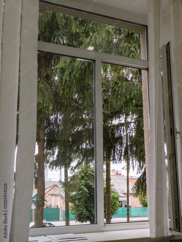 Obraz premium Open white window frame with view of green pine trees and outdoor nature