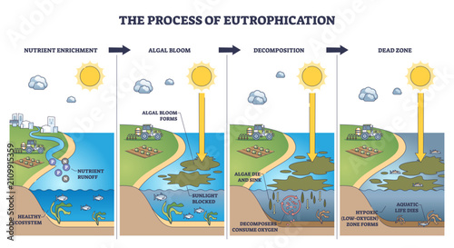 Eutrophication process shown step by step, nutrient runoff drives algal bloom, decomposition creates hypoxia and a dead zone, key objects, algae, fish, tractor, transparent background