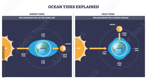 Ocean tides brief explanation, Sun, Moon, and Earth show how gravity creates spring and neap tides with high and low bulges, transparent background. Key objects, Earth, Moon, Sun