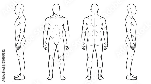 Quadro su tela Man body outline in different poses for medical or artistic use.