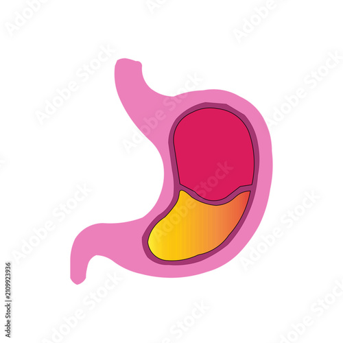 Human Stomach Icon