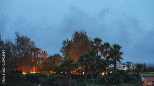 Tropical resort park with glowing lights at dusk