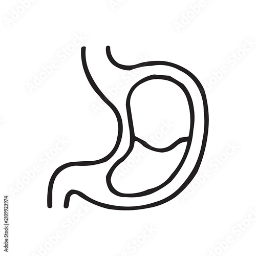 Human Stomach Icon