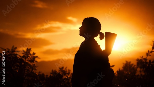 Lone Wanderer at Golden Hour