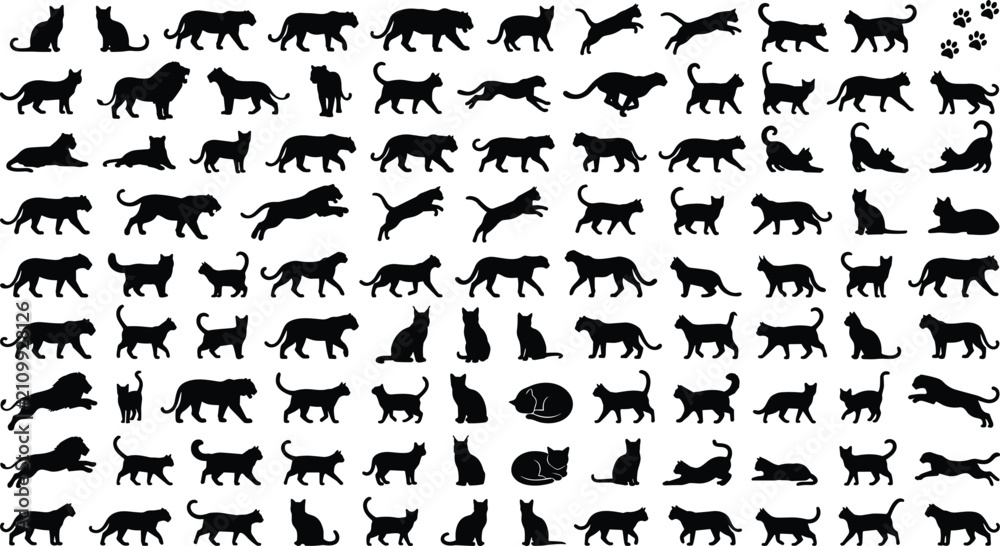 Fototapeta premium Cat Silhouettes Collection Featuring Domestic Cats Lions Tigers Panthers Paws Vector Icons