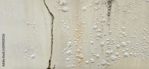 The paint on the house walls is blistering, peeling, and severely cracking due to moisture accumulation within the walls, causing paint to peel, blister, develop white efflorescence on the surface

