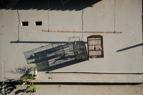 Foto bird cage