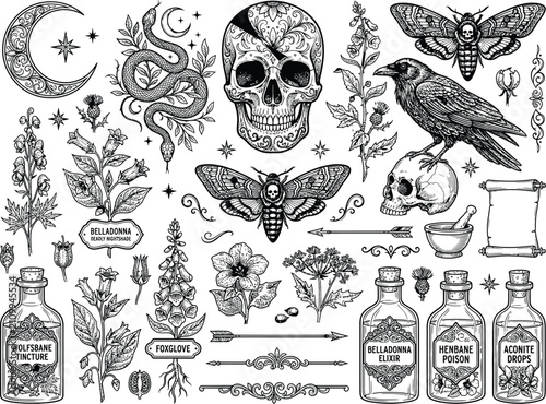 Konstfotografi Occult gothic vector set, wolfsbane belladonna henbane aconite poison bottles, o