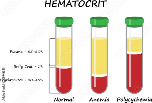 Hematocrit. Medical illustration.