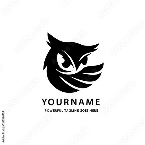 Bold Owl Mascot Logo with Sharp Eyes and Dynamic Black Silhouette