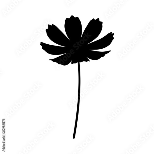Black silhouette of a single cosmos flower with petals and a long stem isolated on a white background, for botanical projects