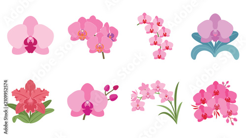 Foto Set of beautiful tropical orchid flowers in different varieties and colors
