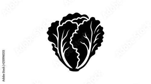 Napa cabbage silhouette icon vector illustration