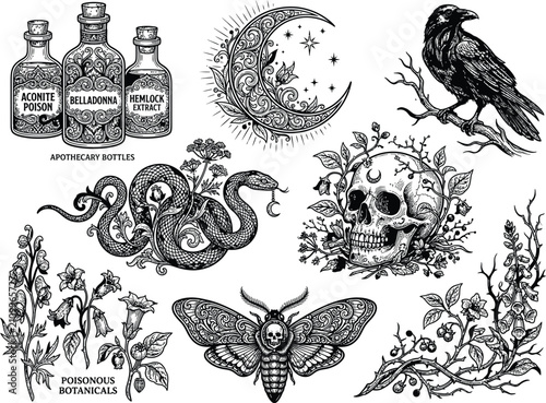 Gothic halloween botanical vector set, vintage apothecary bottles, ornate crescent moon, black raven, snake, floral skull, death head moth, poisonous plants engraving