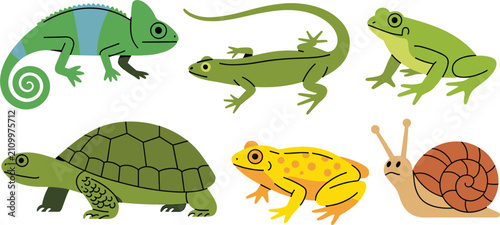 Bild auf Leinwand Reptile and amphibian collection, chameleon lizard frog turtle snail wildlife ve