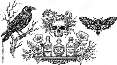 Gothic witchcraft vector set, raven on branch, floral skull, death head moth, potion bottles, magical mystery occult dark academia components