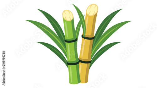 Green and yellow sugarcane stalks with leaves illustration.