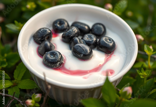 Close-up of yogurt with blu...