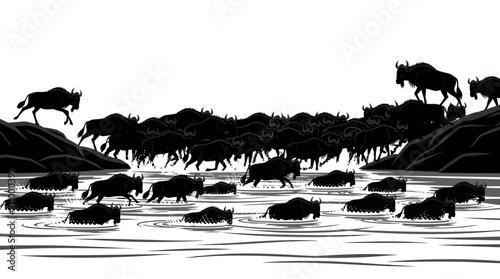 Wildebeest migration illustration showing a large herd crossing a river in black and white