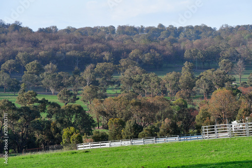 autumn landscape in the mountains with fence