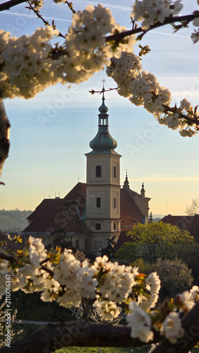 Golden sunlight casts a warm glow over Prague's skyline, highlighting stunning gothic towers and blooming flowers. This enchanting scene captures the beauty and charm of the city at dusk.