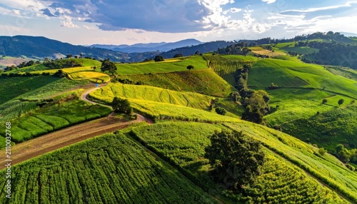 Panoramic view of vibrant green terraced mountain hills.