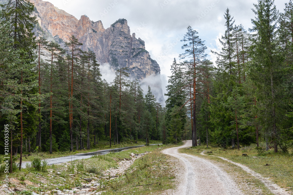 Obraz premium Paired forest roads lead through Val dai Tamersc toward the fog-wrapped limestone cliffs of Piz de Pares outside San Vigilio in Italy