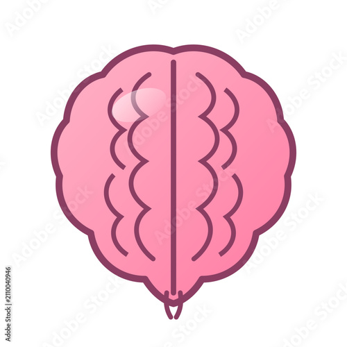 Flat Human Brain Vector Icon, Healthcare Medical and Mind Mental Health Illustration Isolated on Transparent Background
