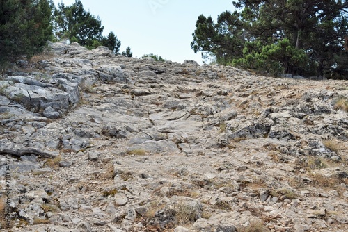 Foto Natural landscape
