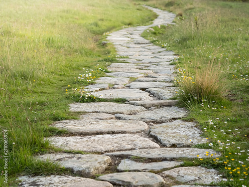 A pathway made of rocks, natural way, nature