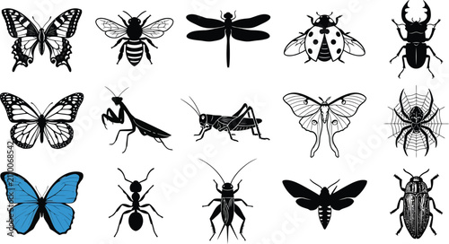Schilderij op canvas Fifteen black silhouette of various insects and arachnids including butterflies,