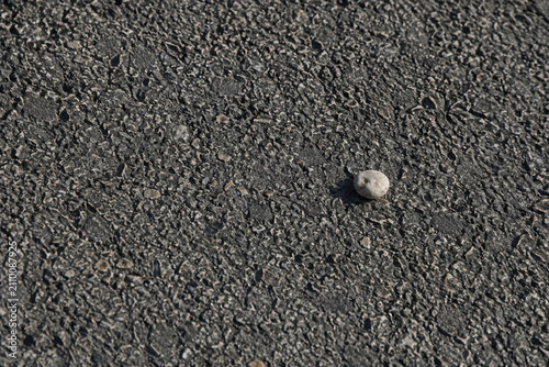 Quadro su tela Single Pebble on Asphalt Surface