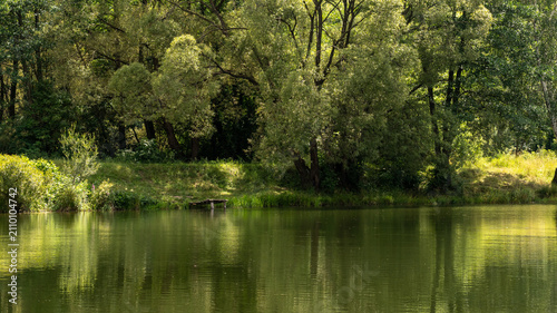 fishing wooden bridge on the lake. hobby, leisure, recreation, fishing, green background and lake