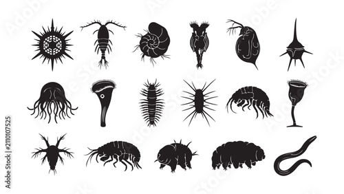 Quadro su tela Silhouettes of Microscopic Aquatic Organisms and Plankton