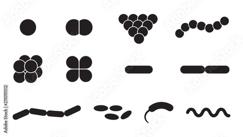 Bild auf Leinwand Bacterial Morphology Icons Set Solid Black Silhouettes of Cocci Bacilli and Spir