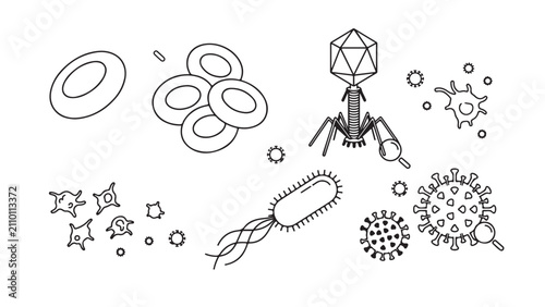 Bild auf Leinwand Simple Microbiology Icons: Blood Cells, Bacteriophage, and Microorganisms